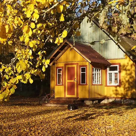 Metsamaja Ja Saun Nedsaja