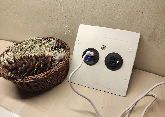 Farm stay Metsamaja Ja Saun