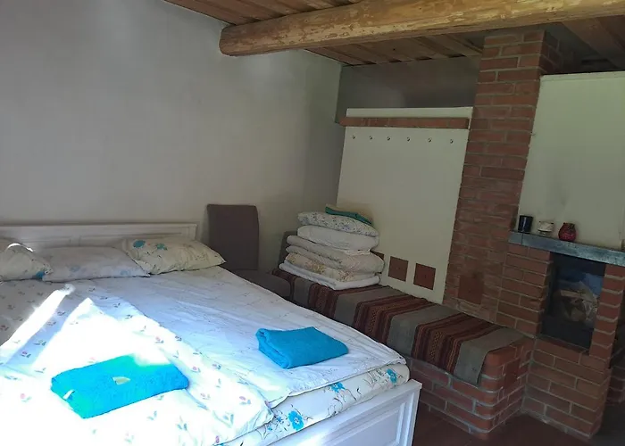 Farm stay Metsamaja Ja Saun Nedsaja